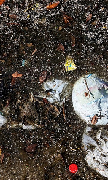 Report: Water at Rio Olympics venues rife with feces, sewage virus